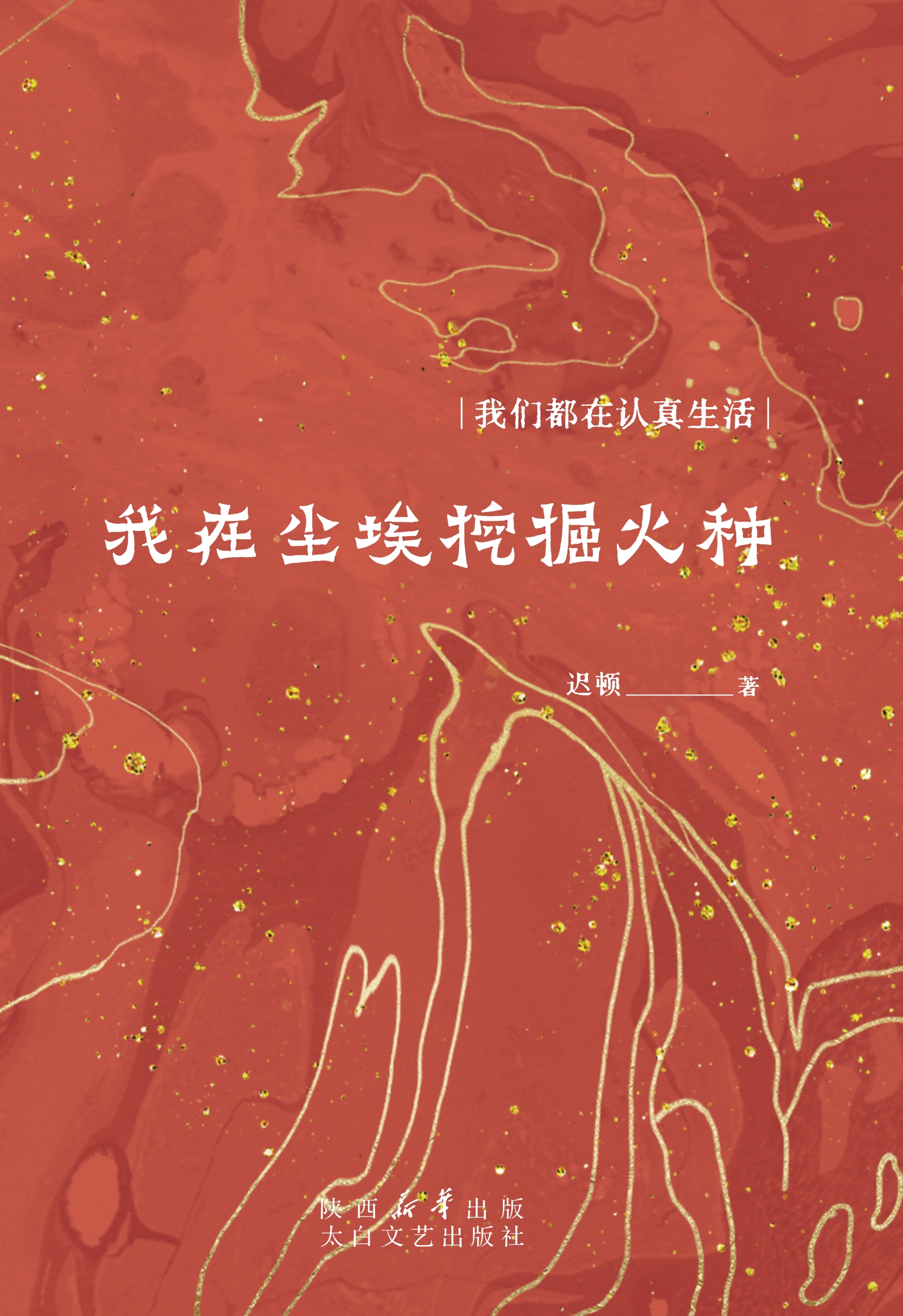 我在尘埃挖掘火种